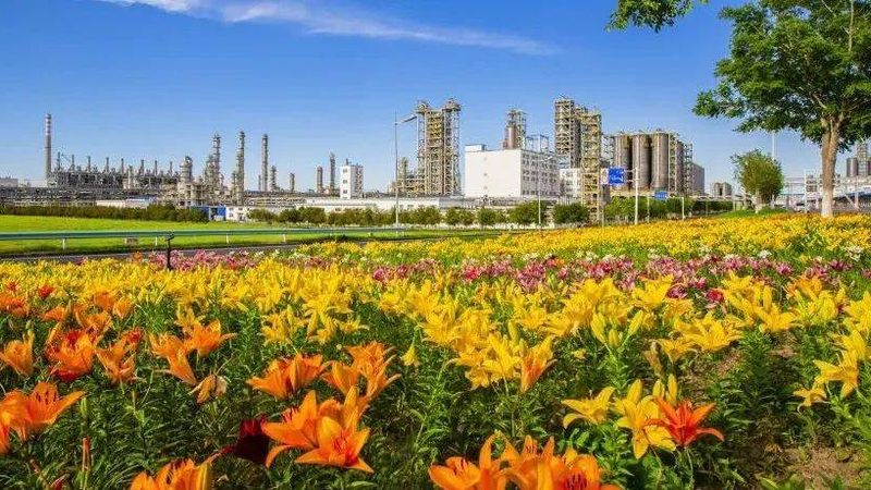 无机与有机：化工原料成分差异解析**
