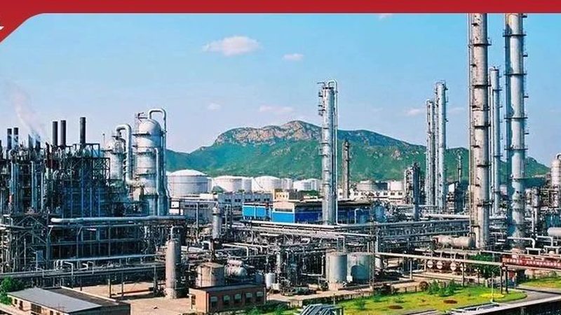 生物发酵消泡剂选型要点：如何规避常见误区**